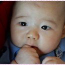 (주)백일 Daum카페