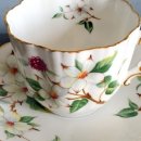 도그 블라썸 이미지