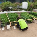 동신농장 이미지