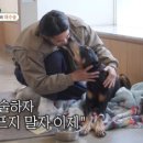 벨 이미지