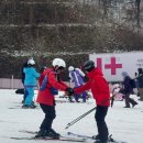 화이트스쿨 이미지