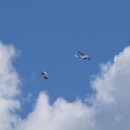 (주) 우리운송 이미지