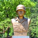 힐링마켓 이미지