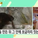 부리천 이미지