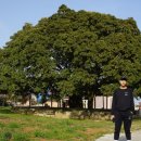 장흥군관산읍삼산보건진료소 이미지