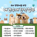 애견수제간식 원데이클래스 댕댕이 도넛만들기