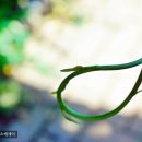 오늘은 음표 이미지