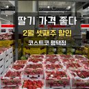 900목장(설성) | [코스트코 평택점] 2월 셋째주 할인 총정리｜토시살·딸기 가격 좋다, 리챔·햇반 쟁임템