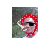 문경(창원) 이미지