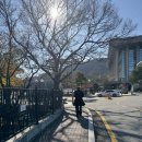 예감 피씨방 | 자차끌고 가시는분 집중!! “엔그릴 N타워” 가는방법 꿀팁 (+내돈내산 상세후기까지!)