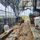 가온누리 농장 이미지