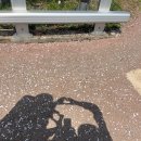 아몬드빌라 이미지