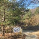 덕동리301캠핑장 이미지