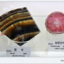 엑스포과학공원 주차장 이미지