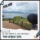 어진건설 | 거제여행 필수코스 거제 바람의언덕 주차 유람선 낚시체험 정보