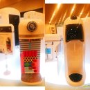 제주배또롱 이미지