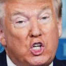 이귀원 농장 | "트럼프 행정부, '해외유학생 졸업 후 취업' 제한 검토"