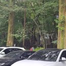 금오산_숲길(등산)1코스 이미지