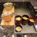 대구 월성동 맛집 - 코시스 월성점 초밥 무한리필 맛집