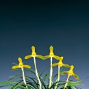 문경 온누리스포츠센터 이미지