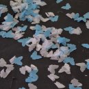 교보 노블리에 포유콘서트 마음 | 고양이 릴스를 보낼게 !