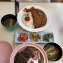 메가엠지씨커피원주무실 | ‘원주’ 카쿠레가 | 무실동 점심 고민 종착지 덮밥 맛집 내돈내산 간단 후기
