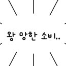 캐치팡 오락실 이미지