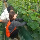 승우농장 이미지