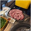 민들레화로
