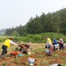 팔봉면 티스토리