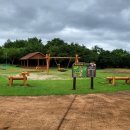 유아동네숲터 이미지