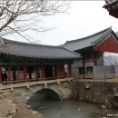 순천-59호 이미지