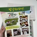 아리아리글로벌 | 아리아리떡사랑 [밥알수리취떡] 직접 먹어본 후기 :)
