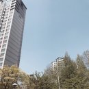 개이득마켓