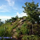 영인산자연휴양림 이미지