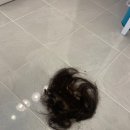 어울림미장원 네이버블로그