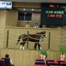 현모목장 이미지