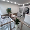 금촌애견 이미지