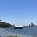 천지인의 기념비 | [퍼스 4일차]여유롭게 도시 구경🏙️하다 위험할 뻔했던 썰-위험지역⭐️피해서 다니세요/킹스파크 전망-사진...