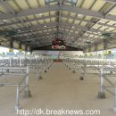 원남시장 이미지