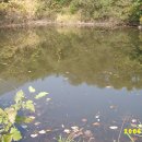 송암1리 이미지