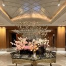 명성송이대게 | 롯데호텔 서울 라세느 평일 디너 후기 | 기대보다 아쉬웠던 호텔뷔페