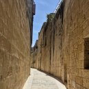 (3 of 7) 음디나, 딩글리 절벽, 샌 앤톤 식물원 (Mdina, Dingli Cliff, San Anton Botanical Ga 이미지