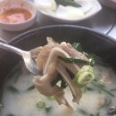 신의주찹쌀순대&숯불갈비 이미지