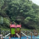 도래재자연휴양림(밀양) | 밀양 도래재 자연휴양림 숲속의집 B동 숙박후기. 아이들과 놀기에는 다소 아쉬웠던