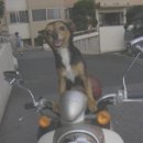 수정-115 이미지