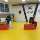 국가대표삼성태권도장
