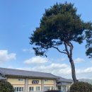 궁도장(열무정) 이미지