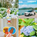 거제도 렌트카 대여 후 거제 드라이브 슝~