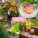 대학당약국 | 대구 여행 가볼만한곳 서로의달 장미 명소 웨이팅